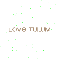 LoveTulum love sustainable eco tulum Sticker