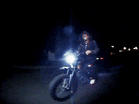 Wolf Bass GIF by IDK