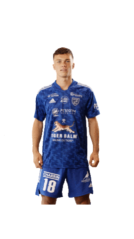 Football Sport Sticker by FCVB