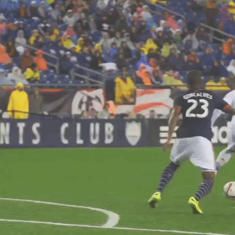 nevla GIF by LA Galaxy