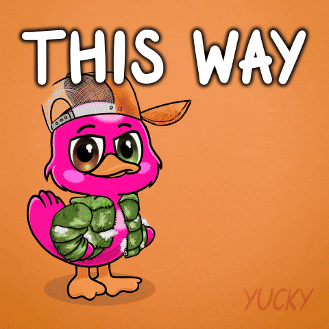 Follow Me Adventure GIF by Yucky Ducks