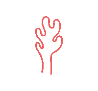 coralstudio ocean sea marine coral Sticker