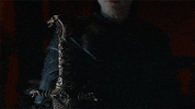 hbo GIF by Game of Thrones