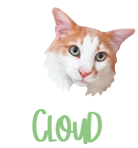 Cat Cloud Sticker