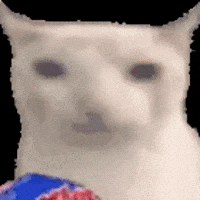 Cat Eating GIF