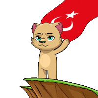 Turkish Flag Turkey Sticker by Kabu