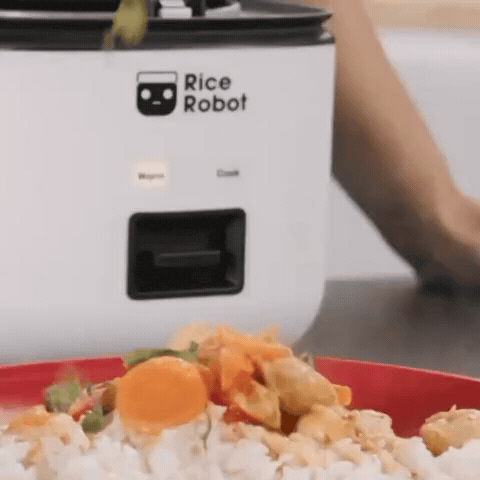 Rice plate next to the cooker | Rice Robot