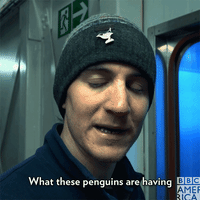 GIF by BBC America