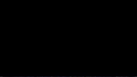gisasantanna giphygifmaker GIF