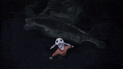 Fun Fly GIF