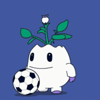 Football Soccer GIF by Magic Eden