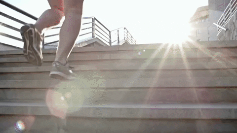 10bibleverses giphyupload never give up bible verse galatians 69 GIF