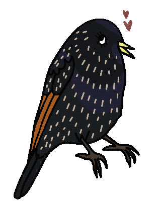 Star Bird Sticker