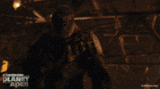 Planet Of The Apes Gorilla GIF by 20th Century Studios
