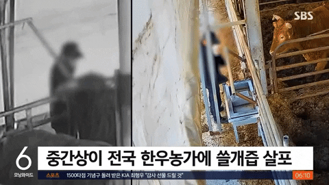 bongjunjeong giphyupload GIF