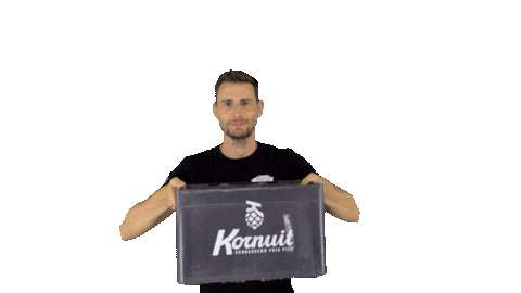 Dj Carnaval Sticker by LINKESOEP