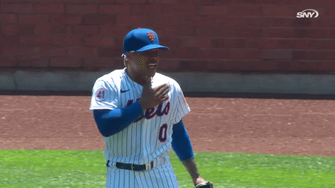 Celebrate New York Mets GIF by SNY