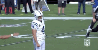 2018 Nfl Football GIF by NFL