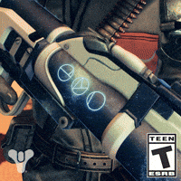 Destiny 2 Cowboy GIF by DestinyTheGame