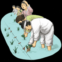 People Korea GIF by vank