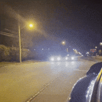 Mokahandle mustang moka mustangs moka mustang GIF