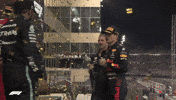 Max Verstappen Sport GIF by Formula 1