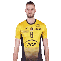 Volleyball Ok Sticker by PGE Skra Bełchatów