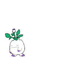 Paying Black Friday Sticker by Magic Eden