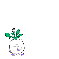 Paying Black Friday Sticker by Magic Eden