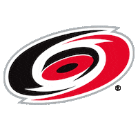 Ice Hockey Sport Sticker by NHL