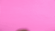 surprise hair flip GIF by Chastity Belt