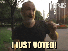 Voting Fran Healy GIF by Travis