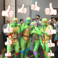 Teenage Mutant Ninja Turtles Thumbs Up GIF by GIPHY CAM