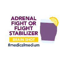 Fight Or Flight Sticker by Medical Medium