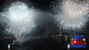 4Th Of July Fireworks GIF by Macy's