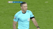euro 2016 russia GIF by Sporza