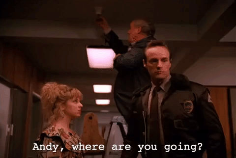 season 2 GIF by Twin Peaks on Showtime