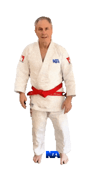 Judo Grappling Sticker by NA Effective Fighting