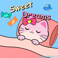 Sleepy Good Night GIF by Silly Kitties