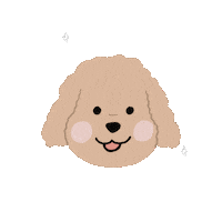 Dog Poodle Sticker