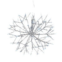 Ornament Lichtbol Sticker by Beekwilder