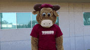 csudhteddytoro happy yes thumbs up agree GIF
