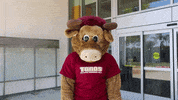 csudhteddytoro strong flex muscles flexing GIF
