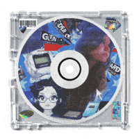Cd GIF