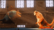 GIF by Rumble
