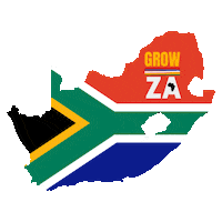 South Africa Springboks Sticker by GrowZA