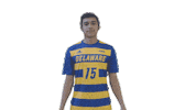 Fun Hair Flip Sticker by Delaware Blue Hens