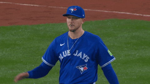 Blue Jays Baseball GIF by Toronto Blue Jays