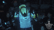 ice hockey sport GIF by NHL