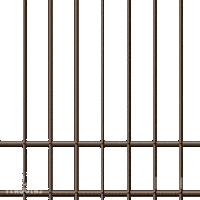 Penguin Crime Sticker by Pudgy Penguins